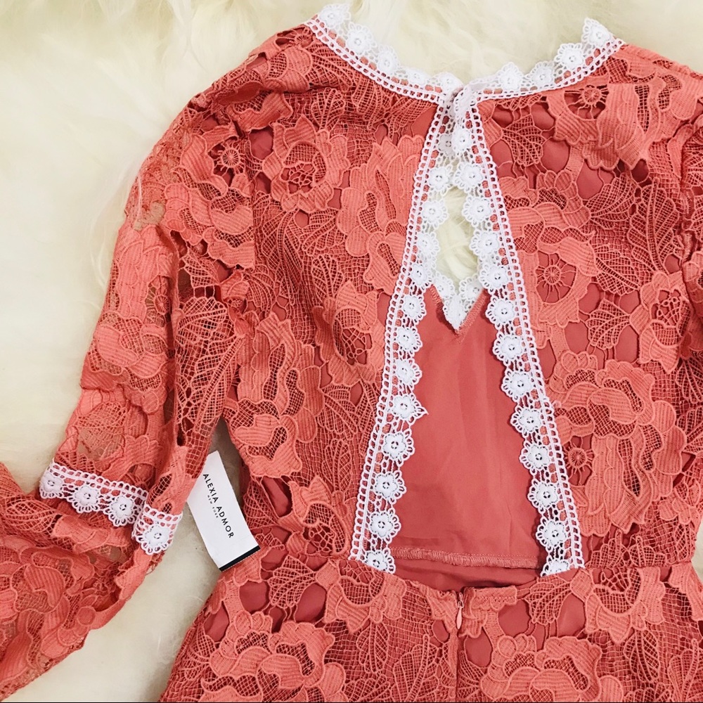 Alexia Admor Ruffled Long Sleeve Lace Dress - Picture 8 of 8